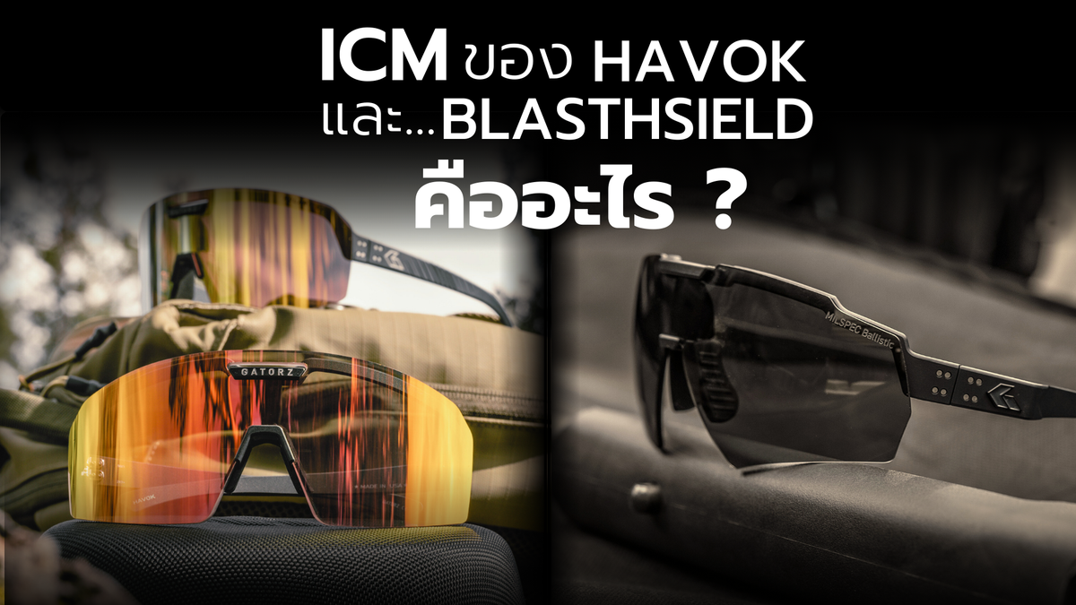 ICM ของ Blasthsield และ Havok คืออะไร ?