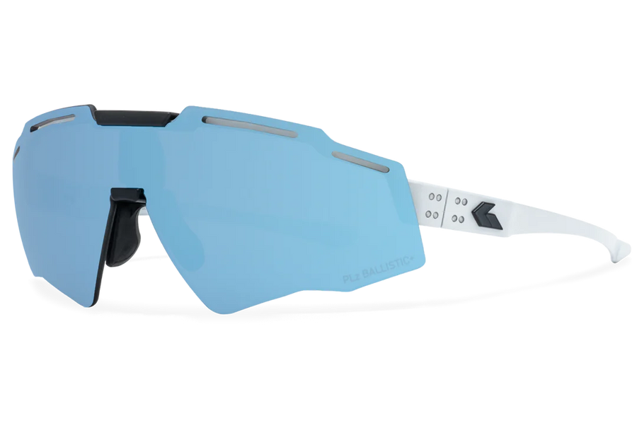 GATORZ Smoke Polarized w/ Blue Mirror lens